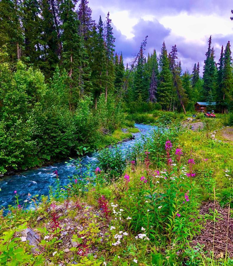 Carlo Creek Cabins Denali Park Exterior foto