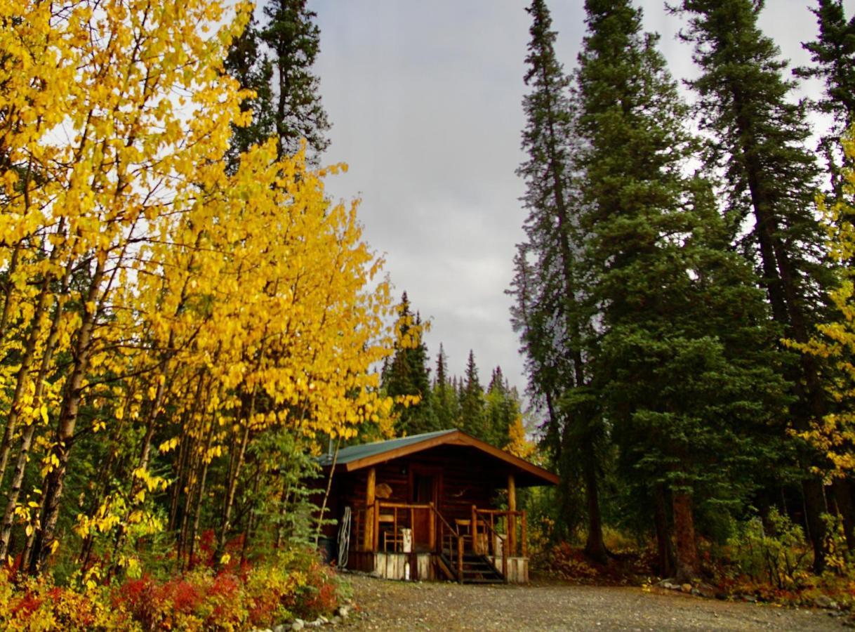 Carlo Creek Cabins Denali Park Exterior foto