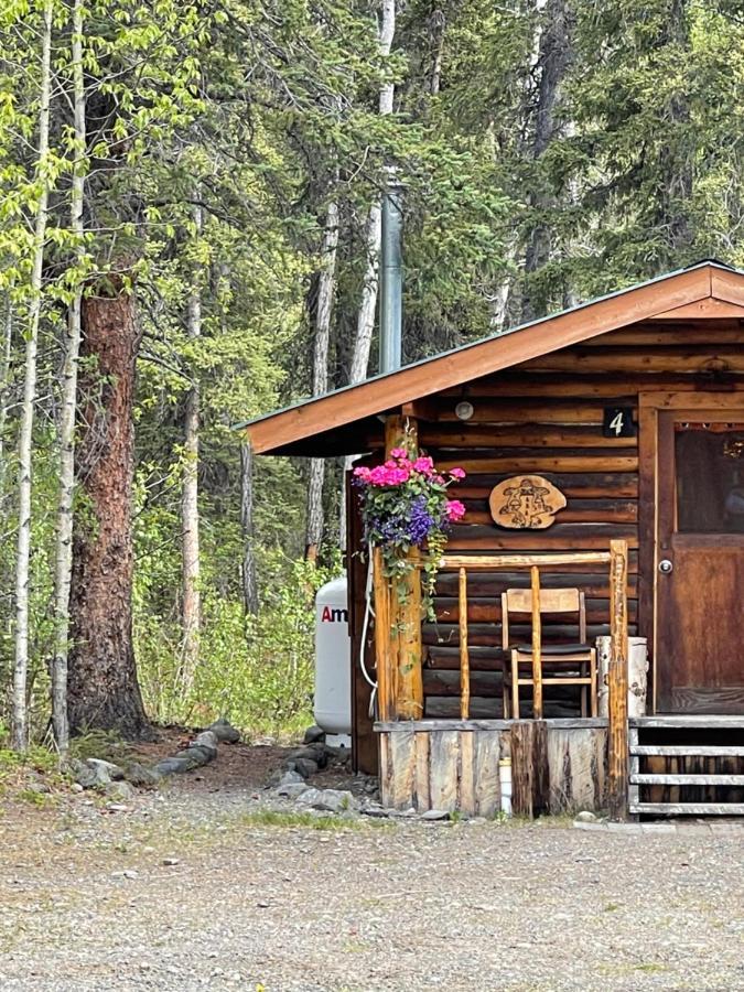 Carlo Creek Cabins Denali Park Exterior foto
