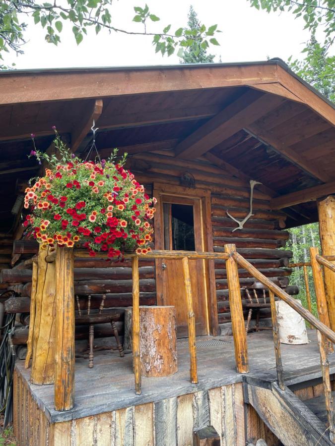 Carlo Creek Cabins Denali Park Exterior foto