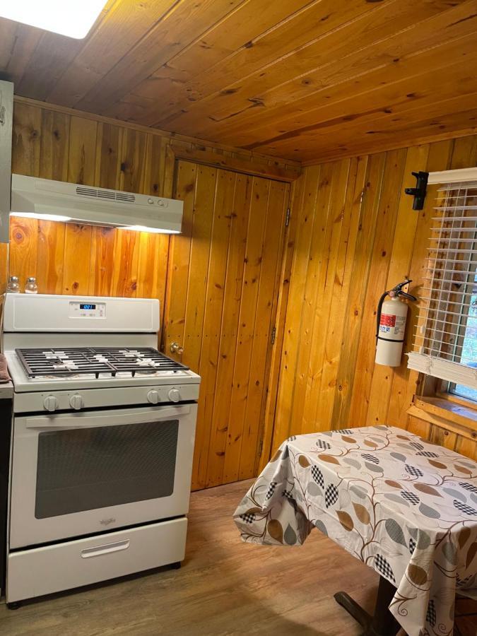 Carlo Creek Cabins Denali Park Exterior foto