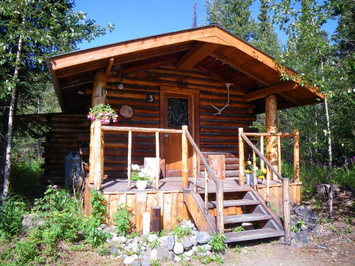 Carlo Creek Cabins Denali Park Exterior foto